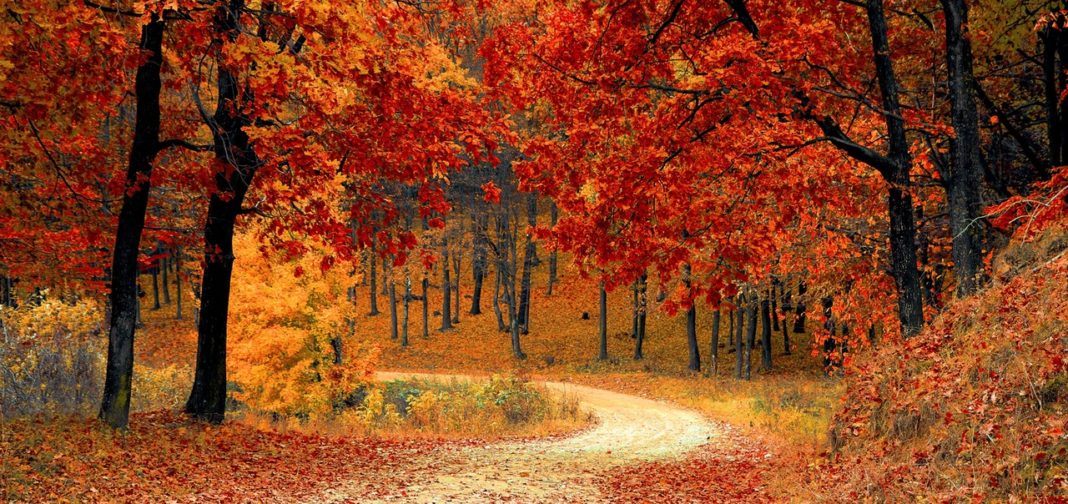 autumn colors fall season